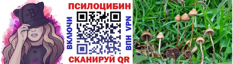 mega   даркнет сайт  Тольятти  Псилоцибиновые грибы Cubensis 