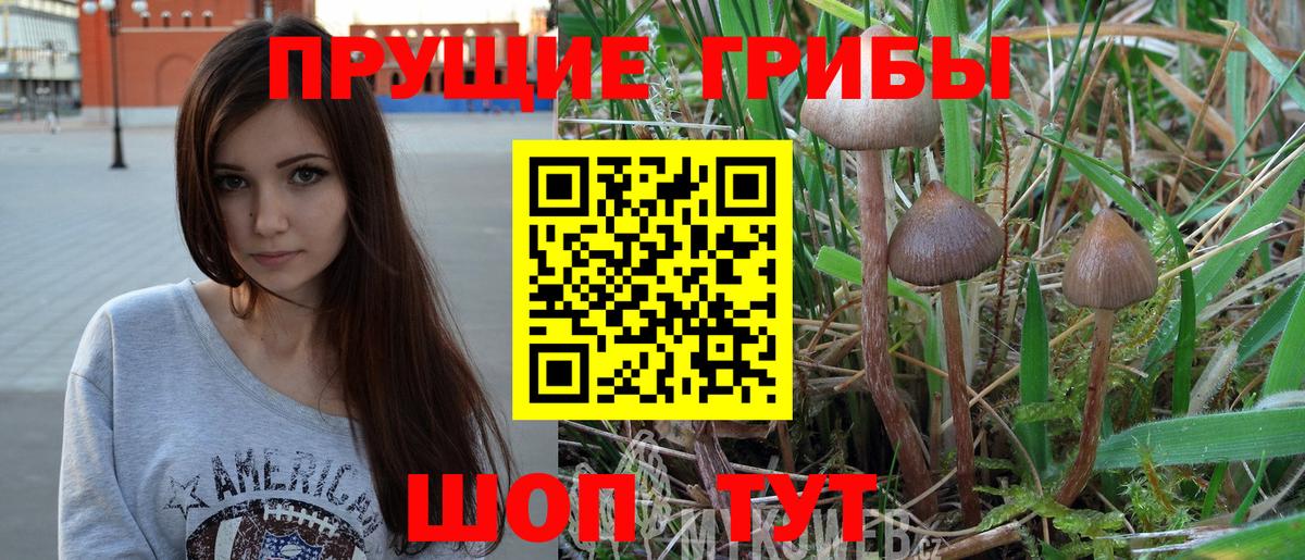 Псилоцибиновые грибы прущие грибы Тольятти